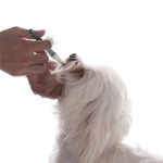 Pet Drugs/Water Feeder 餵藥/餵水產品