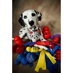 Dog Toys 玩具