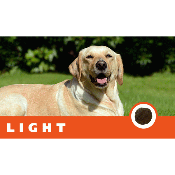 CASA-FERA Light Dog 天然黑醇母保健糧減肥犬配方 3kg