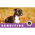 CASA-FERA Sensitive Dog 天然黑醇母保健糧成犬防敏感配方 12.5kg