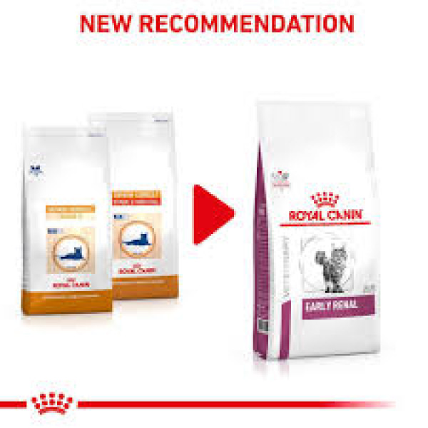Royal Canin Early Renal Adult Dry Cat Food 早期腎臟病貓配方 1.5kg 