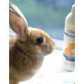 Allerpet Pet Dander Remover 艾露沛寵物通用皮屑去除液(兔、鼠、鳥為主) 355ml
