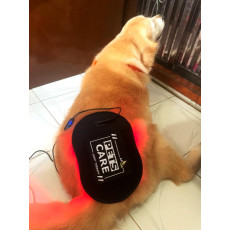 Apex Pets Care Light Therapy 寵物專用紅外線治療墊 (17x26cm)