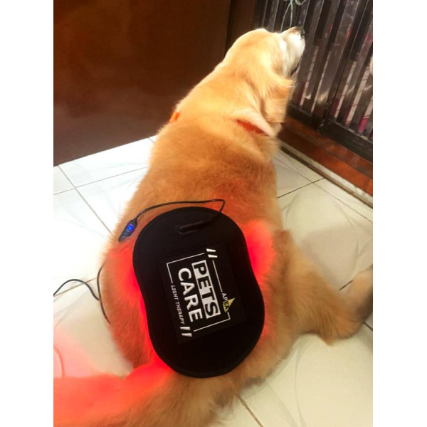 Apex Pets Care Light Therapy 寵物專用紅外線治療墊 (17x26cm)