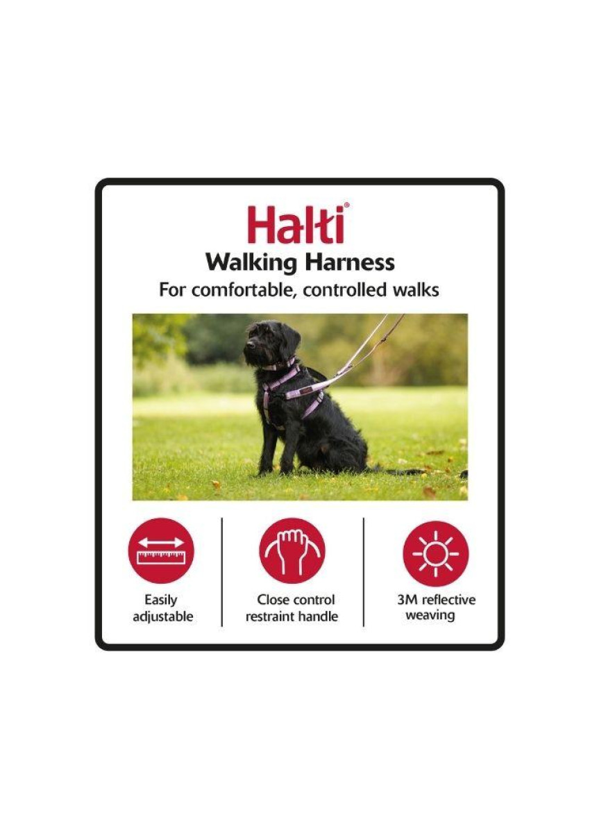 Halti best sale walking harness