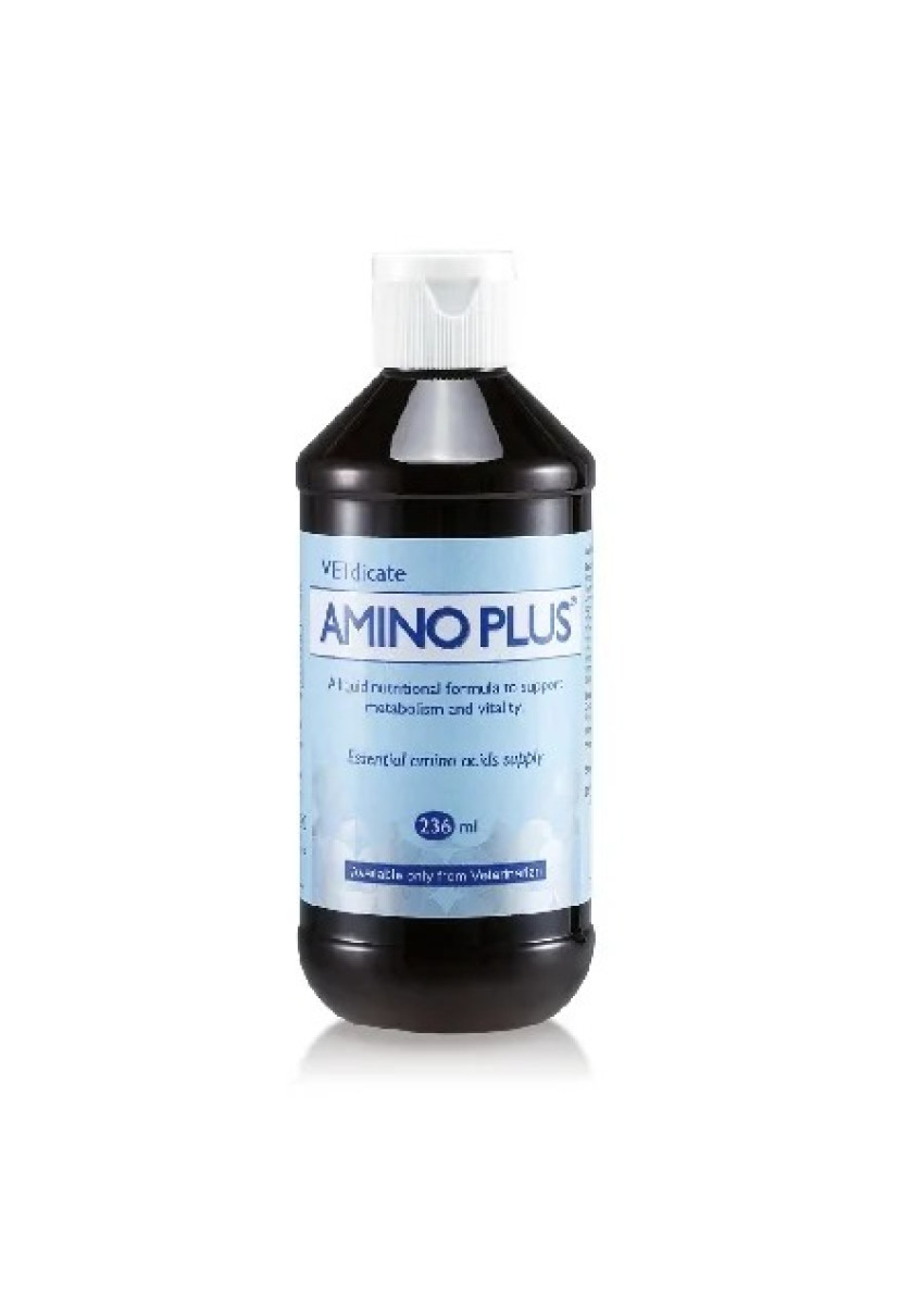 寵特寶犬貓用胺寶Amino Plus(60ml)/腎病/貧血/肝臟疾病/虛弱-寵物專用
