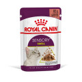 Royal Canin Sensory Smell  Morsels in gravy 貓感濕糧肉香營養主食系列  (肉汁) 85g X12