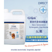 Direct GQ4 全效消毒液 5L