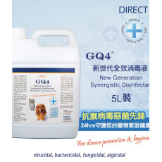 Direct GQ4 全效消毒液 5L
