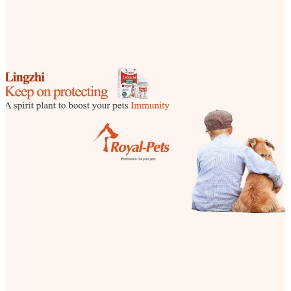 Royal‐Pets Lingzhi For Dogs 純正靈芝 60 粒膠囊