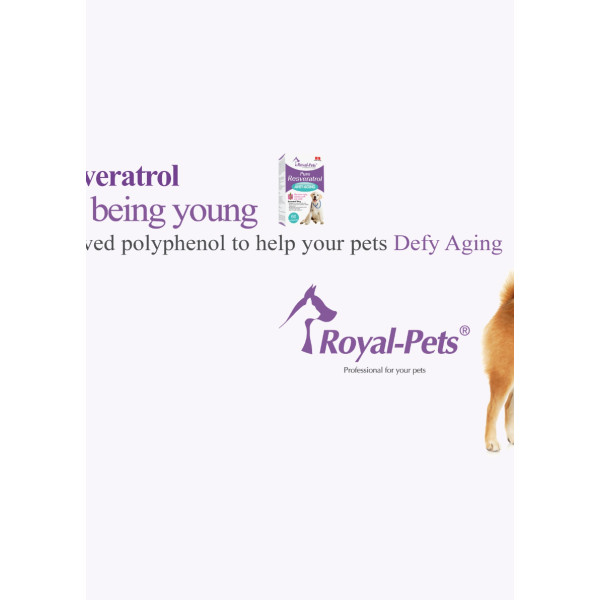 Royal-Pets Pure Resveratrol For Dogs 純正白藜蘆醇 60粒膠囊