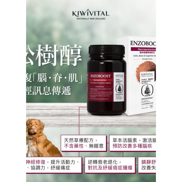 Kiwivital EnzoBoost Powder 寵物專用松樹醇腦神經醫學級配方 120g