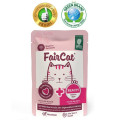 FairCat Beauty Hair and Skin For Cat wet Pouch 皮膚美毛貓濕糧包 85g 