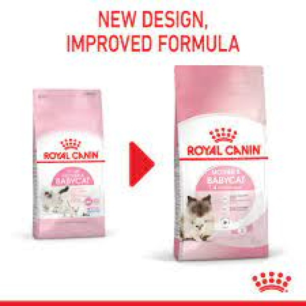 ROYAL CANIN Babycat 34 BB貓配方 2kg