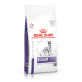 Royal Canin Veterinary Diet Dental For Medium and Large Dog 獸醫處方潔齒中/狗糧 6kg