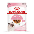 Royal Canin Kitten Instinctive Wet cat food in Jelly 12個月或以下幼貓(啫喱 ) 85g