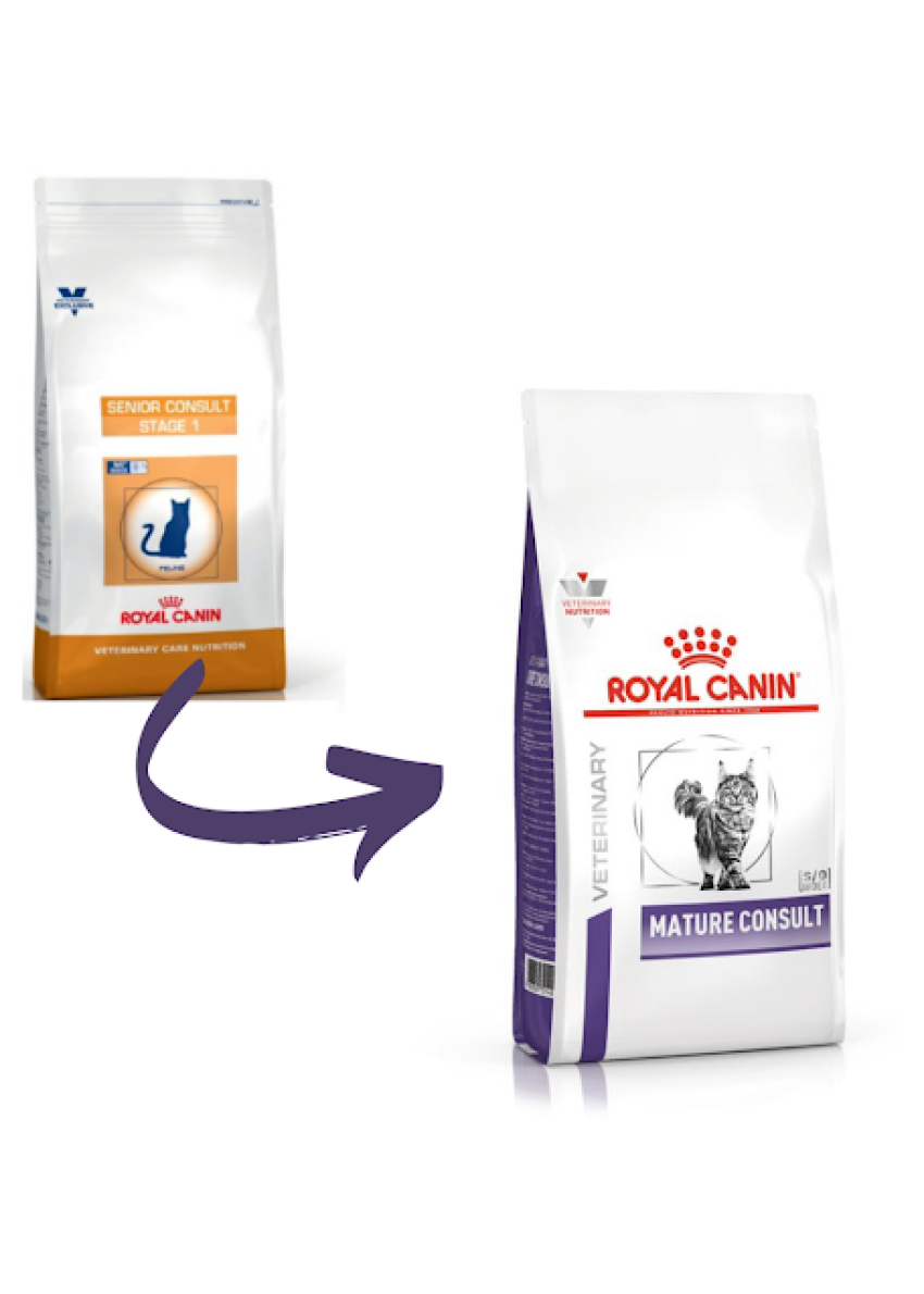 senior consult feline