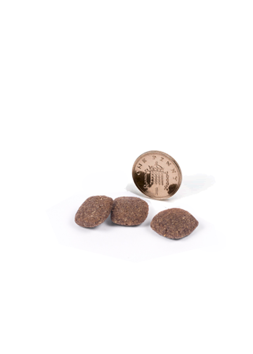 canagan grass fed lamb 12kg