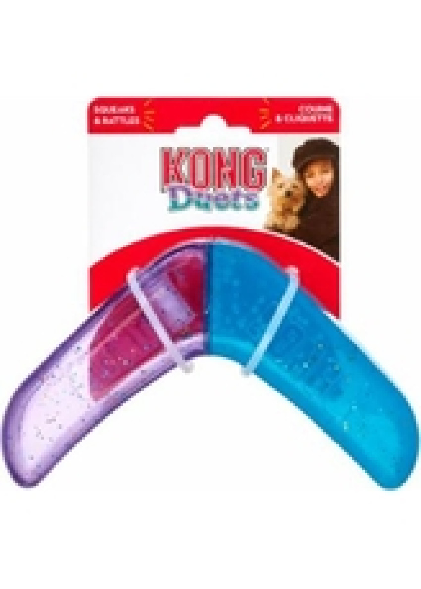 Kong boomerang 2025