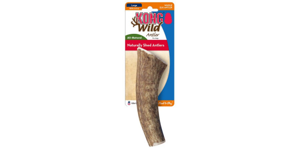 Kong wild antler clearance whole