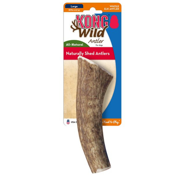 Kong Wild Antler Whole Small  全鹿角(小)