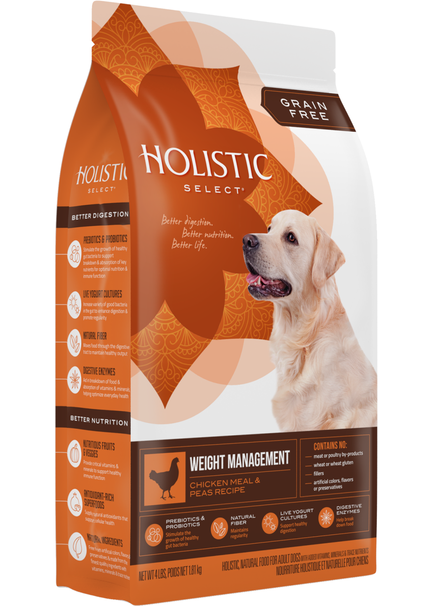 Holistic select grain free salmon top
