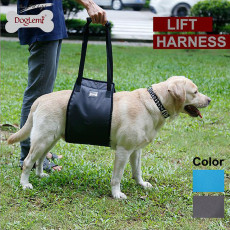 DogLemi Professional Dog Lift Support Harness Black Color 後支步行輔助帶- 黑色(M)