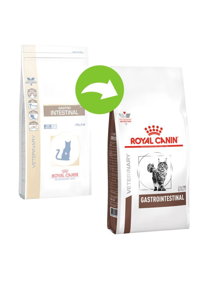 royal gastrointestinal cat
