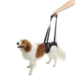 KRUUSE Rehab lifting harness, hind legs 犬用輔助步行掛帶 - 後腿 XS