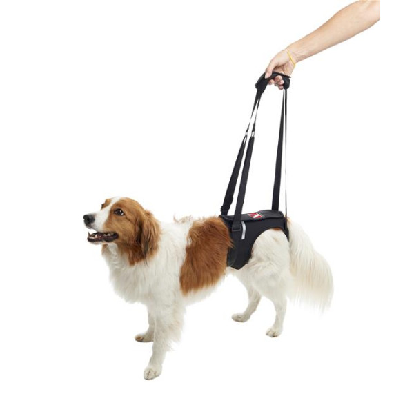 KRUUSE Rehab lifting harness, hind legs 犬用輔助步行掛帶 - 後腿  M