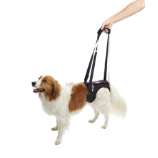 KRUUSE Rehab lifting harness, hind legs 犬用輔助步行掛帶 - 後腿  L