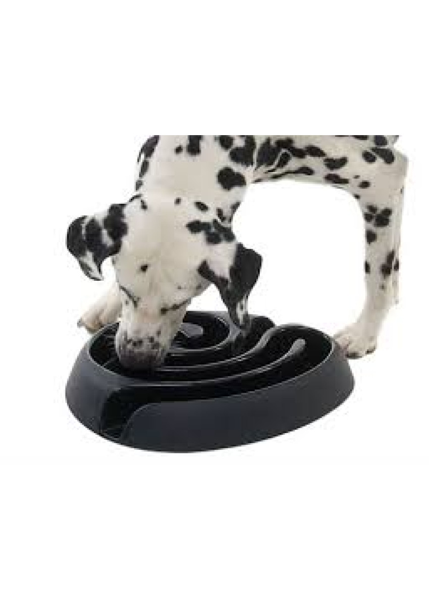 https://www.pethaven.com.hk/image/cache/data/Supplier/Product%201/Dog%20Toys/Buster%20DogMaze%201-850x1190.jpg