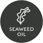 Seawed oil