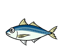 mackerel.png